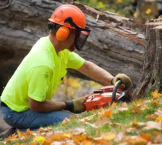 tree services Boutte